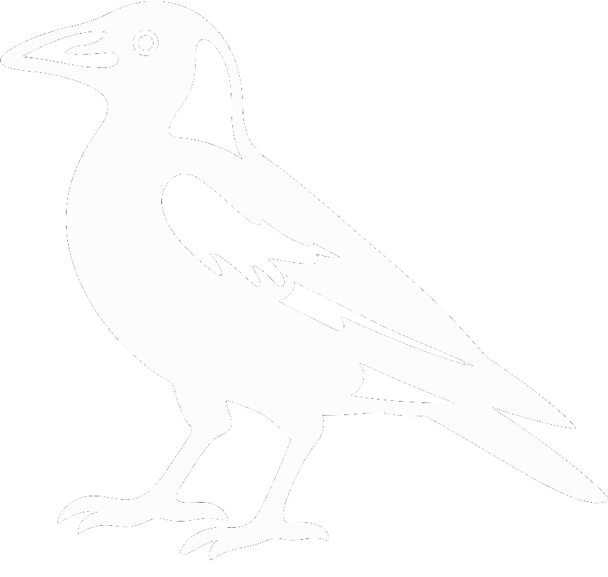 MAGPiE Societies